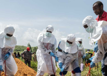 Nigeria Launches Urgent Response to Ebola Case in Abuja